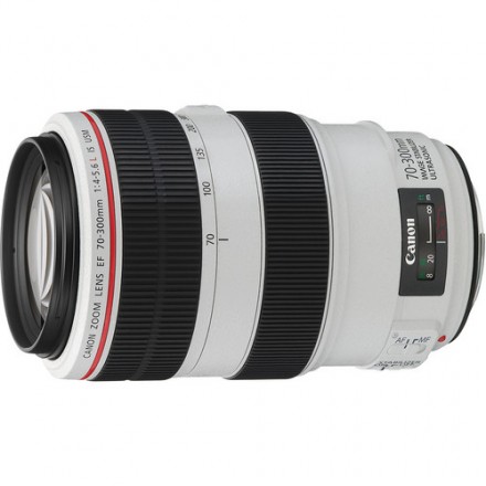 Объектив Canon EF 70-300mm f/4-5.6L IS USM
