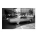 Фотопленка ORWO UN54 100 135 36