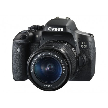 Цифр. фотокамера зеркальная Canon EOS 750D kit 18-55 IS STM Цифр. фотокамера зеркальная Canon EOS 750D kit 18-55 IS STM
