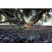 Объектив Sony 24mm, f/1.8 Carl Zeiss для камер NEX Объектив Sony 24mm, f/1.8 Carl Zeiss для камер NEX